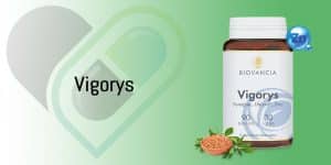 Vigorys